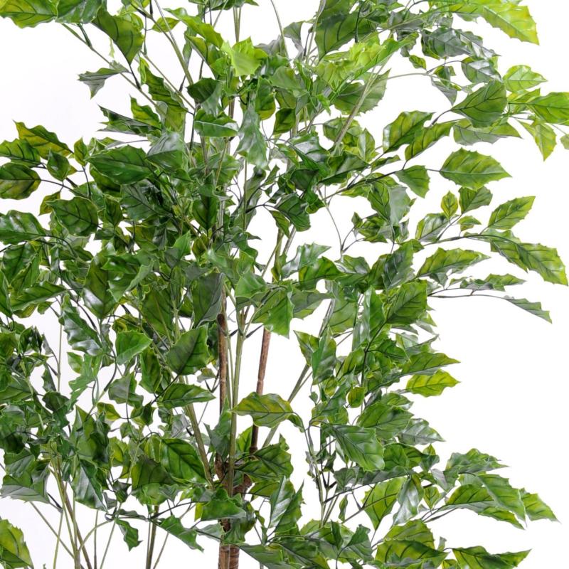 Palissandre Artificiel PLAST