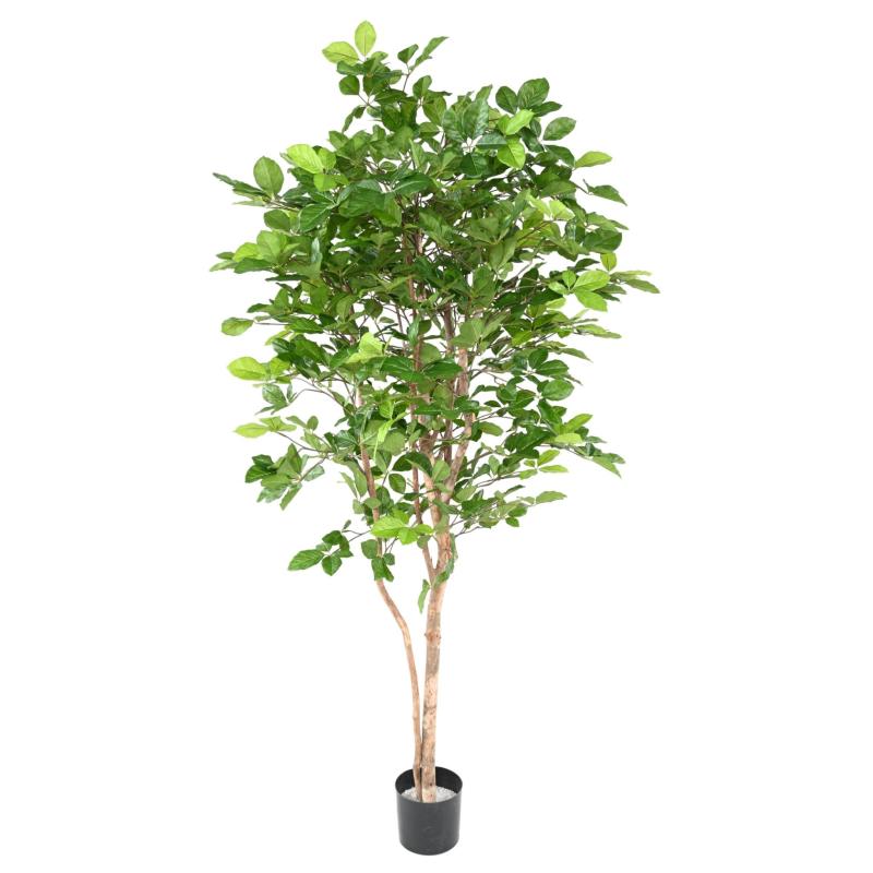 Hetre Artificiel Grandifolia 190