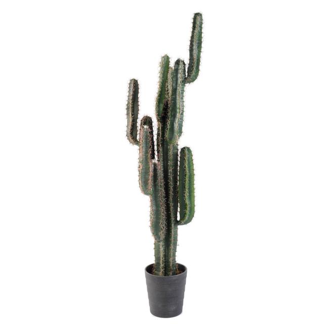 Cactus Artificiel Finger 1