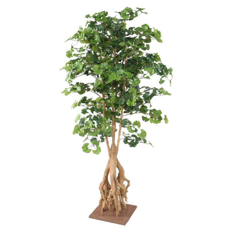 Ginkgobiloba Artificiel Root