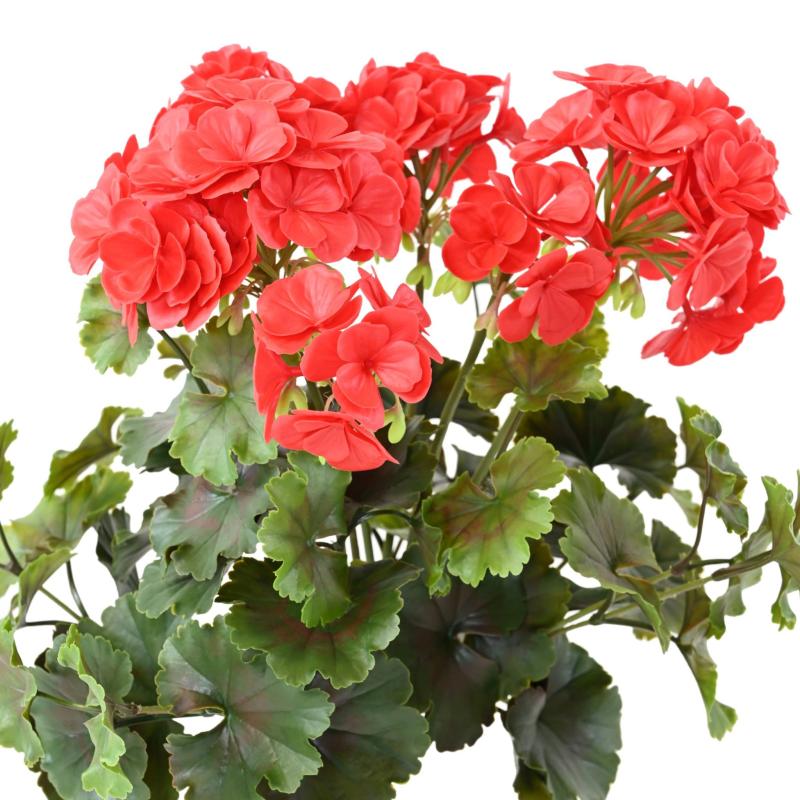 Geranium UV Artificiel