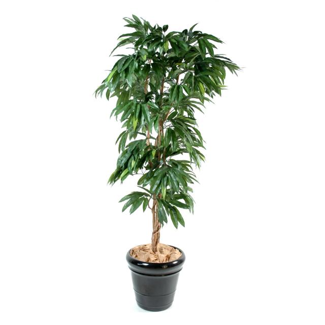 Manguier Artificiel