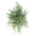Peperonia Artificiel Chute PLAST