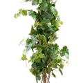 Vigne Artificielle TREE