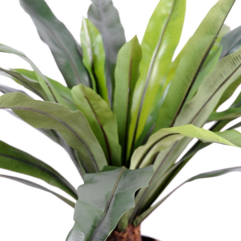 Asplenium Artificiel Tronc*30