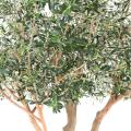 Olivier Arbre L Artificiel