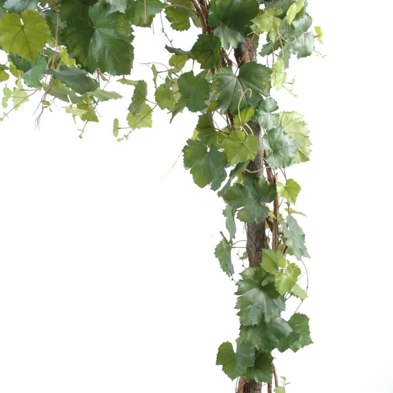Vigne Artificielle Round