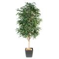 Bouleau Artificiel Arbre