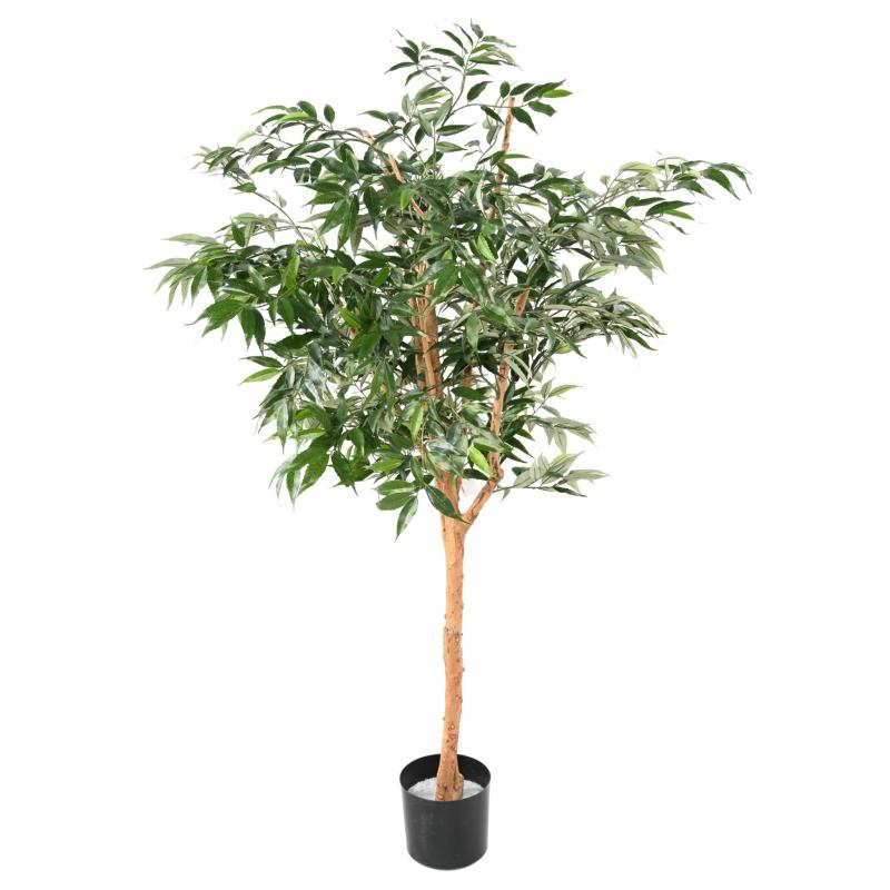 Shirakashi Artificiel