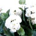 Geranium Artificiel 25 CM