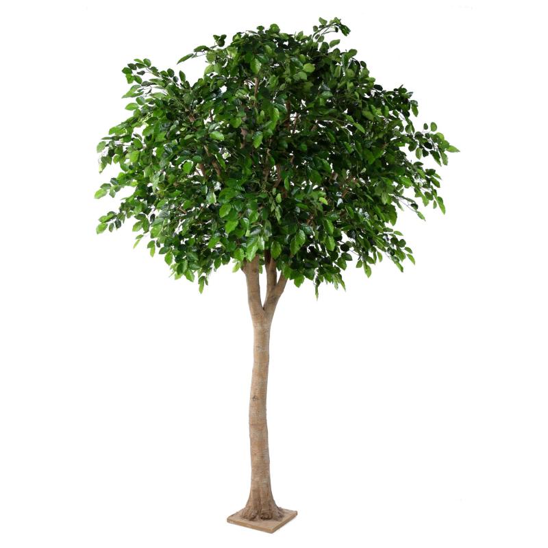 Hetre Artificiel Tete