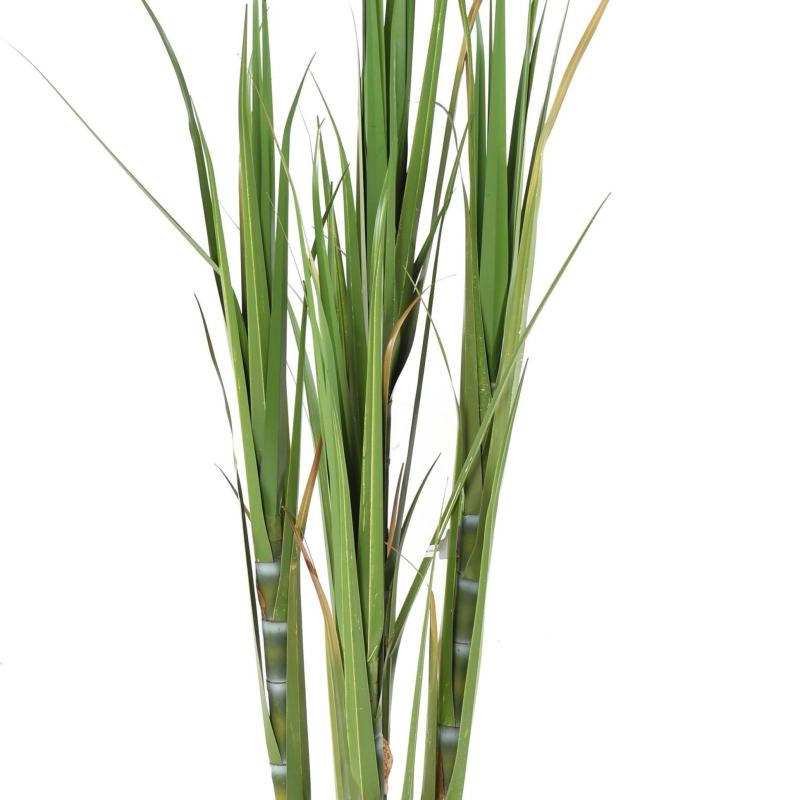Canne à Sucre Artificielle