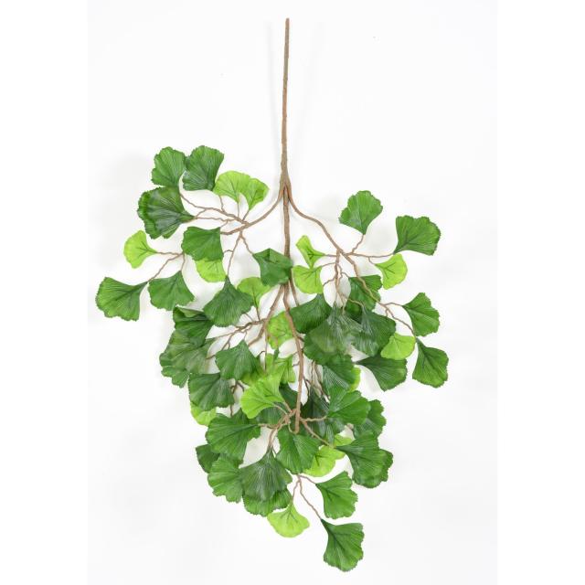 Ginkgobiloba Artificiel SPRAY