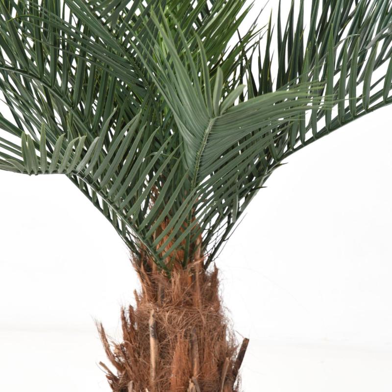 Phoenix Artificiel Tronc N PLAST