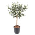 Olivier Artificiel Plant Pot