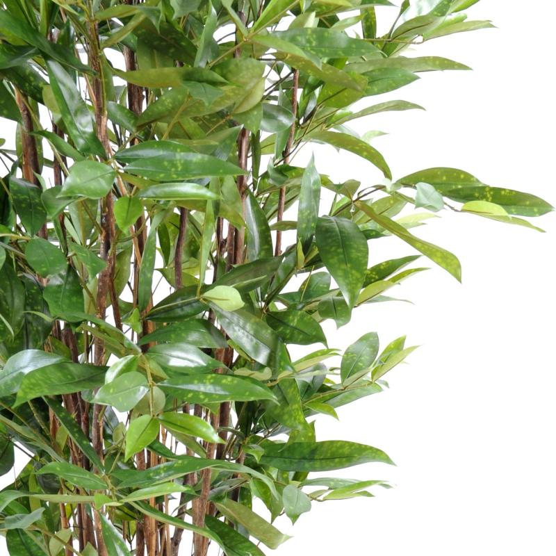 Dracena Artificiel Surculosa