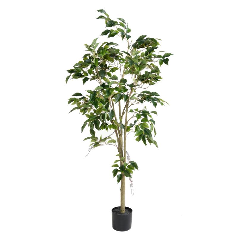 Ficus Artificiel