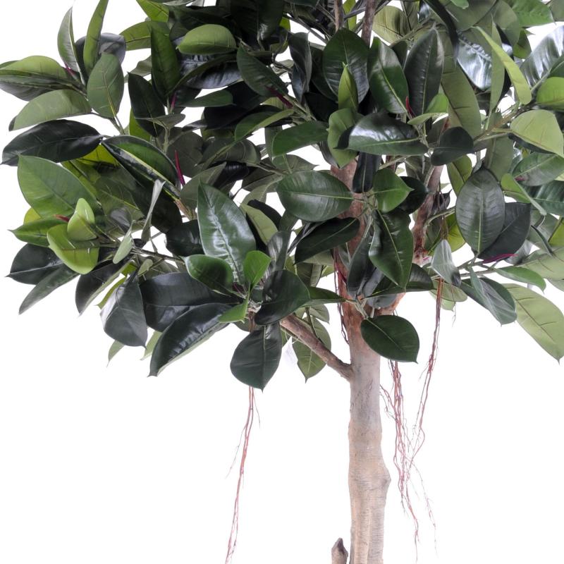 Rubber Plant Artificiel TREE S