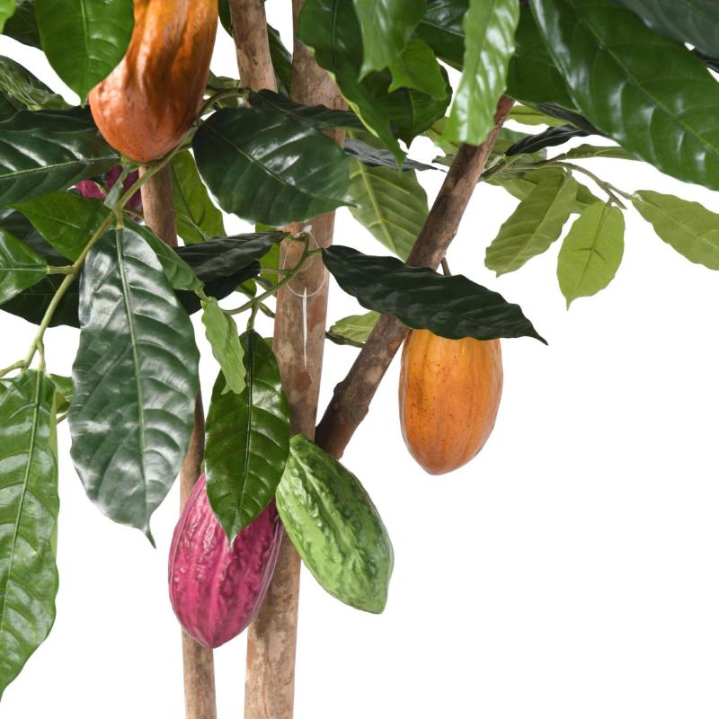 Cacaoyer Artificiel