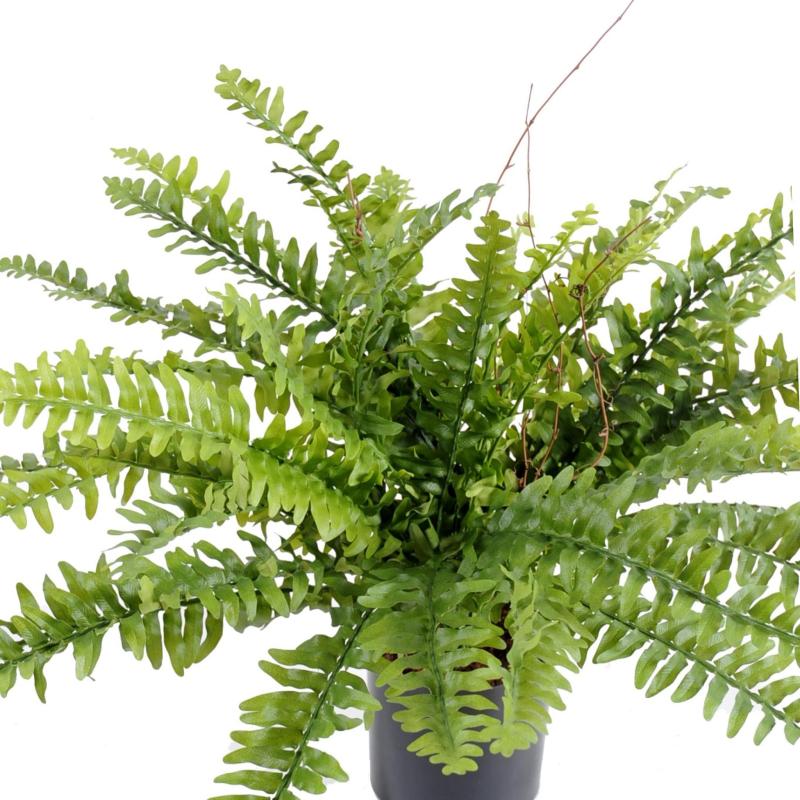 Fougere Artificielle Boston *42 en Pot