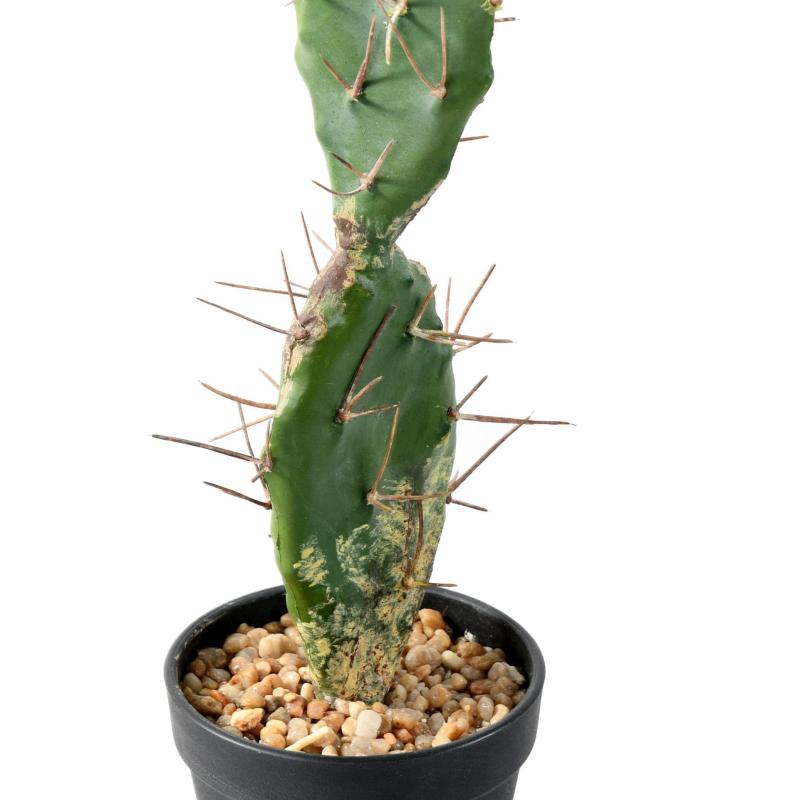 CACTUS Artificiel
