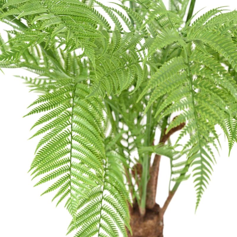 Dicksonia Artificielle (fougere)