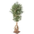 Olivier Artificiel NEW Root