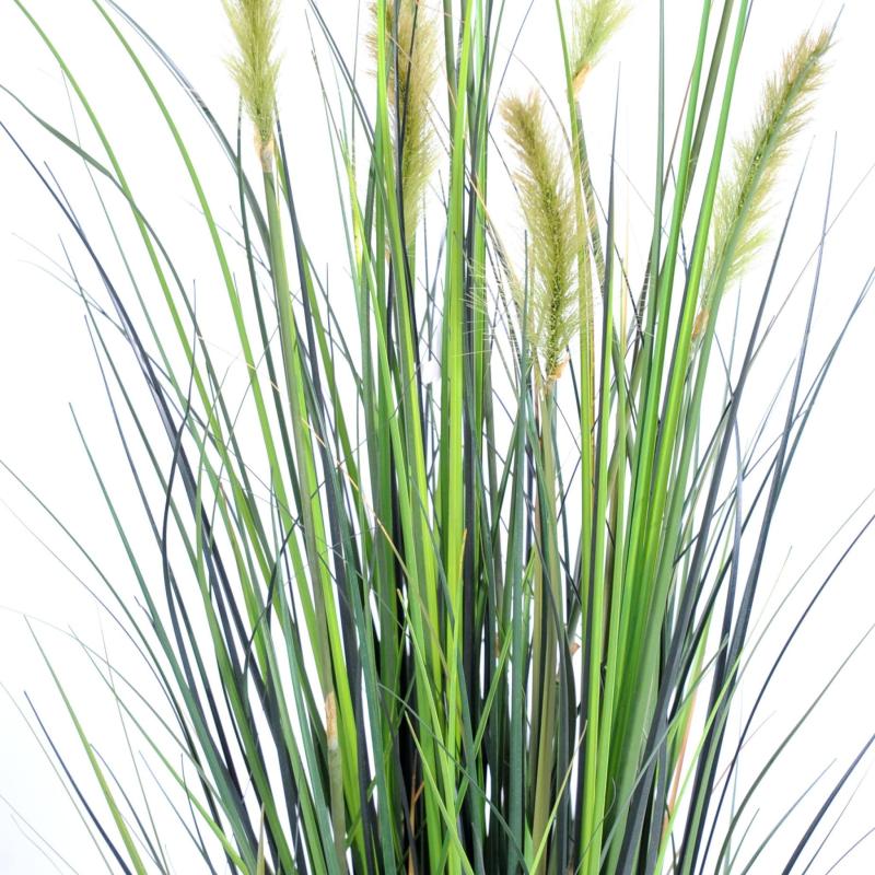Foxtail Artificiel GF