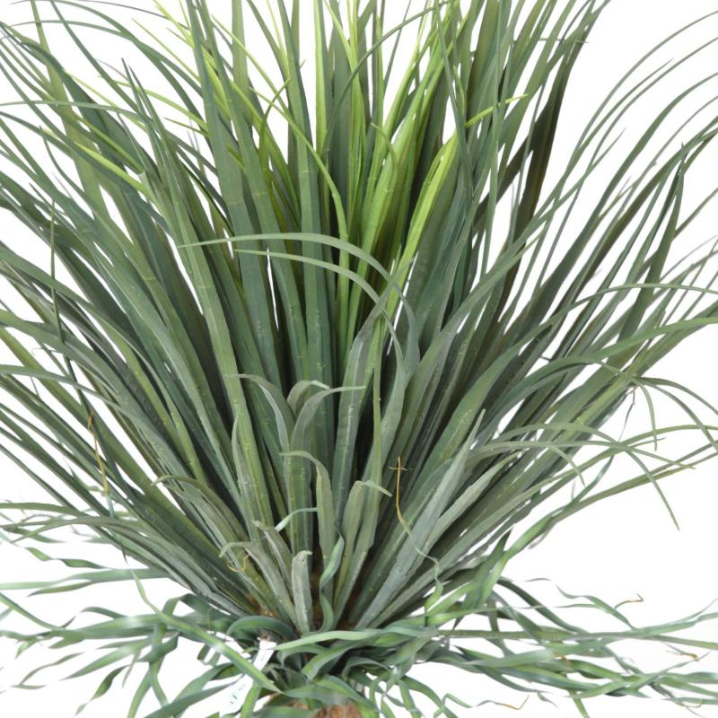 Beaucarnea Artificiel Recurvata