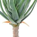 Aloevera Artificielle 125