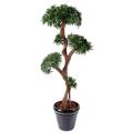 Podocarpus Artificiel TREE
