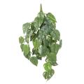 Pothos Artificiel Chute UV