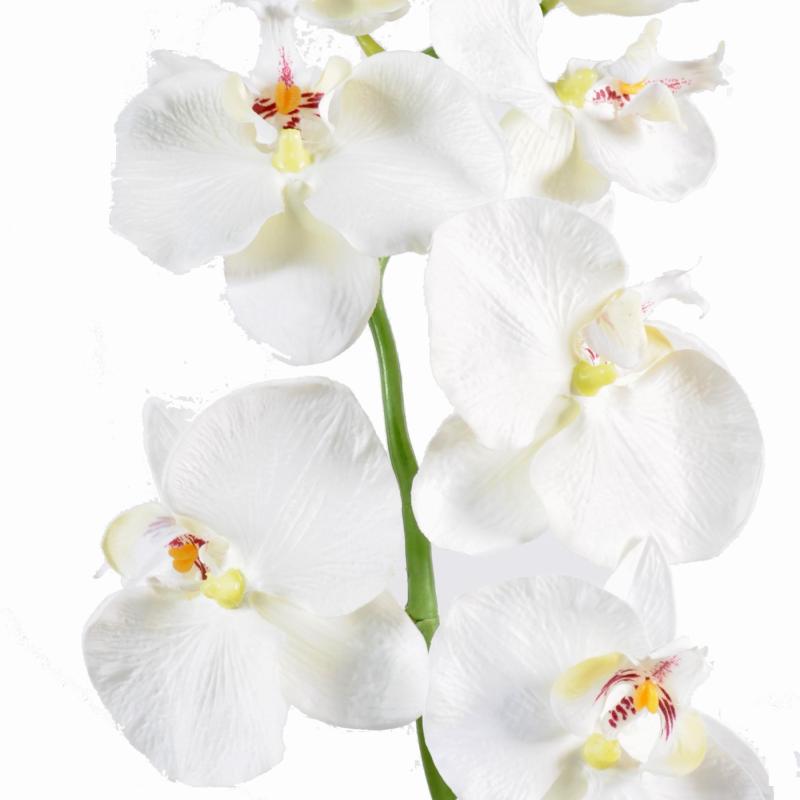 Phalaenopsis Artificiel Tige Medium *6