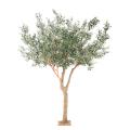 Olivier Arbre L Artificiel