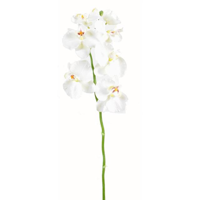 Phalaenopsis Artificiel Tige Medium *6