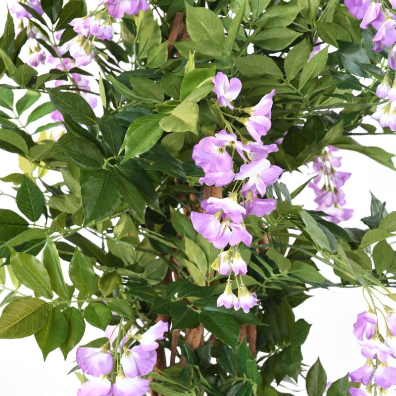 Glycine Artificielle