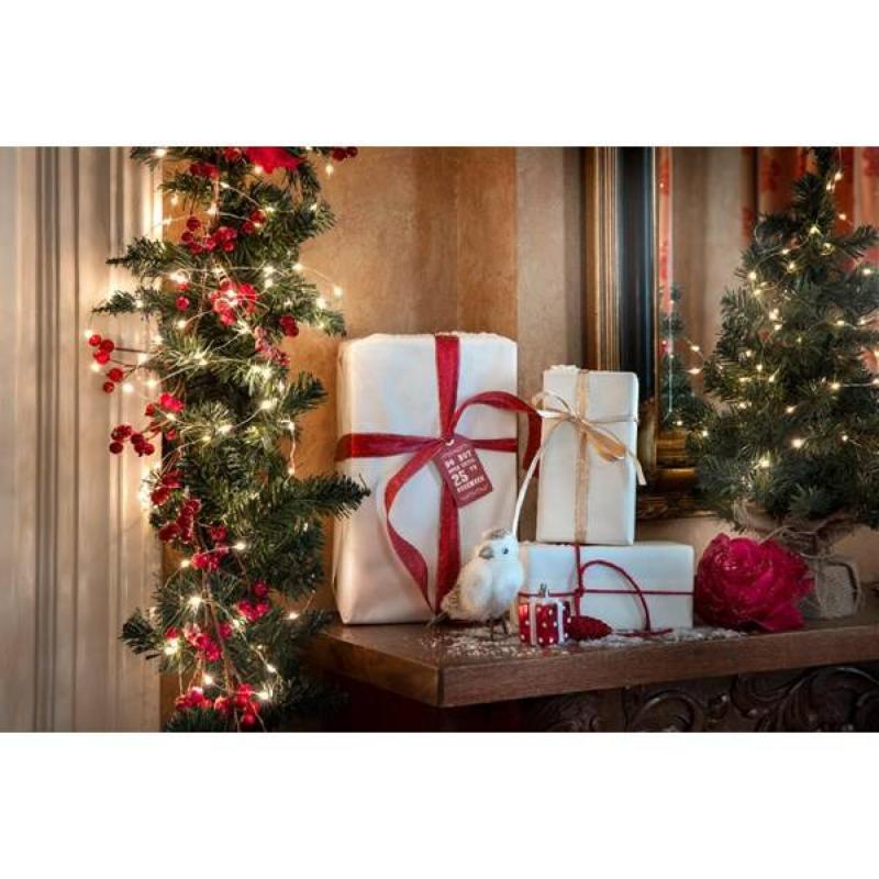 Guirlande Led Blanc Chaud