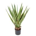 Agave Furcraea 80 Artificiel