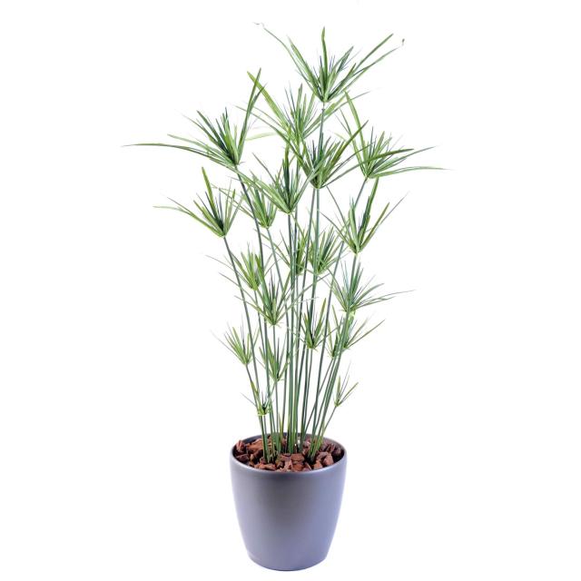 Papyrus Artificiel