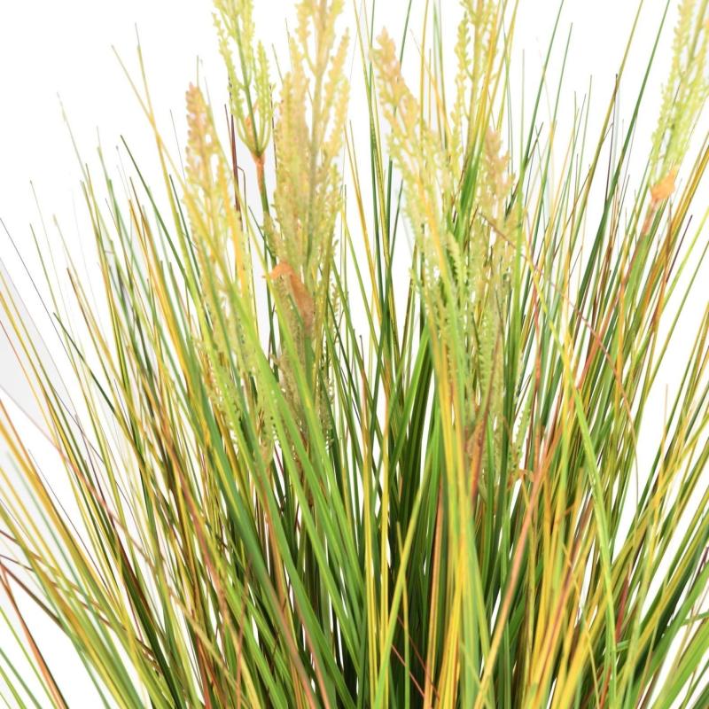 Onion Artificiel Grass Graine
