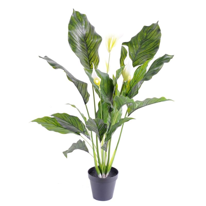 Spathiphyllum Artificiel PLAST 5 FL