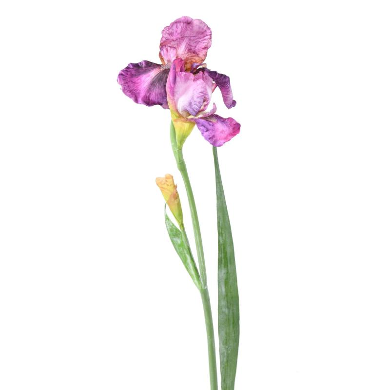Iris Artificiel