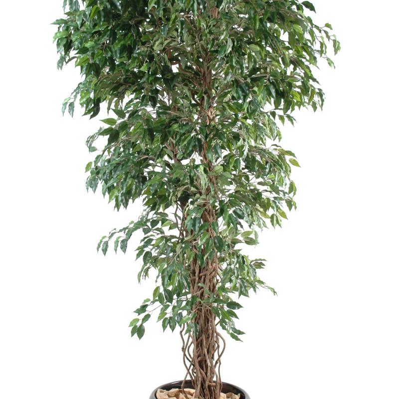Ficus Artificiel Lianes Petites Feuilles