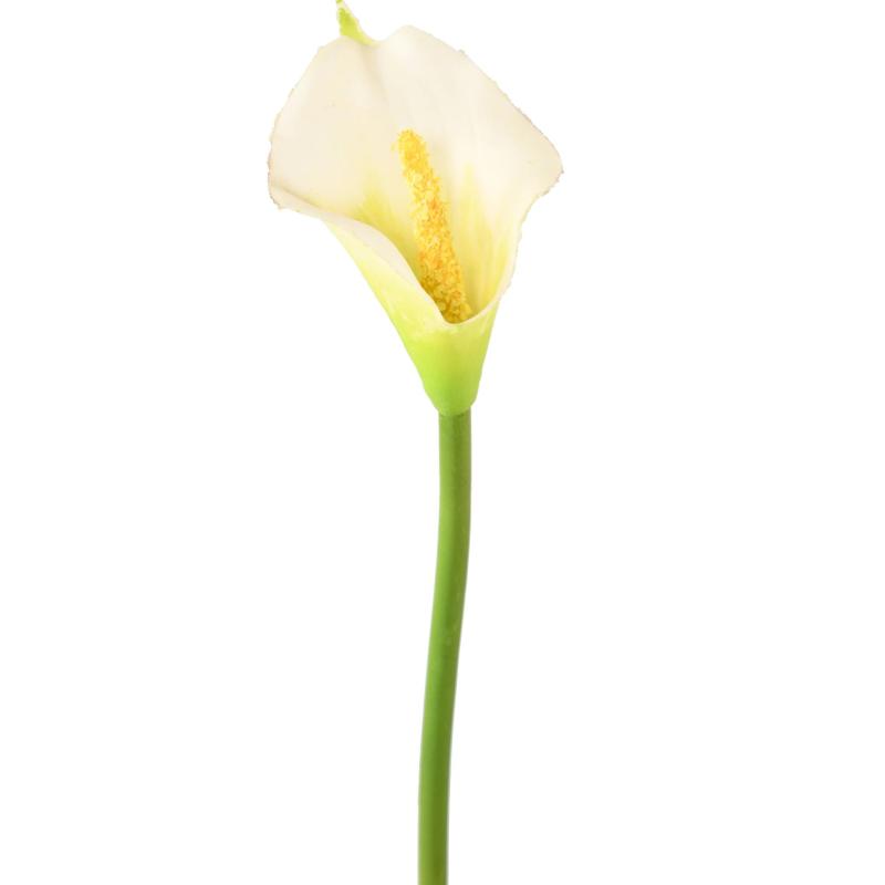 Arum (arome) Artificiel