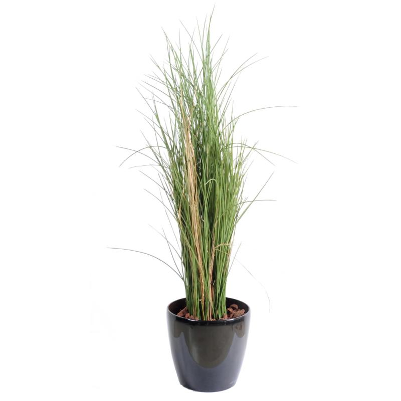 Herbe Artificielle Honey Grass