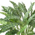 Calathea Artificiel 90cm en Pot