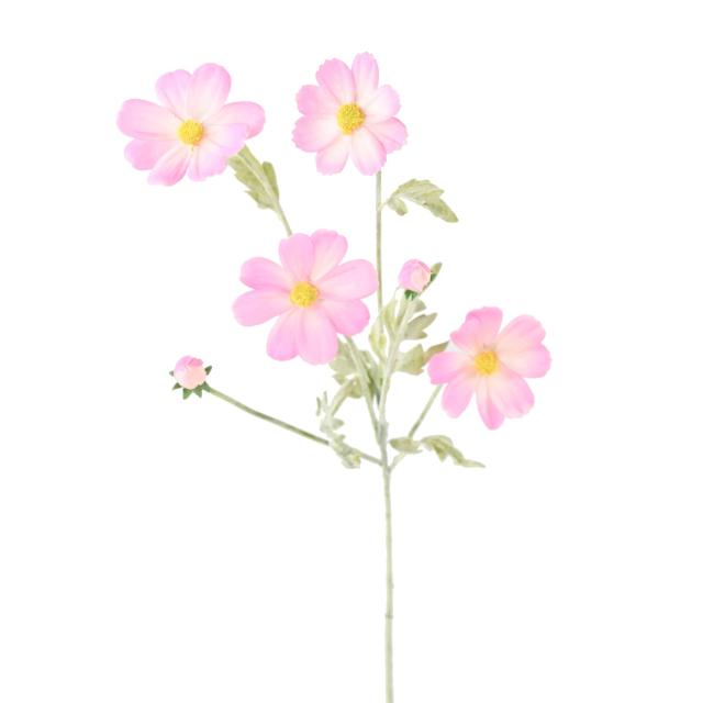 Cosmos 62