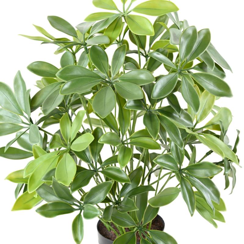 Schefflera Artificiel Pot PLAST 50 UV