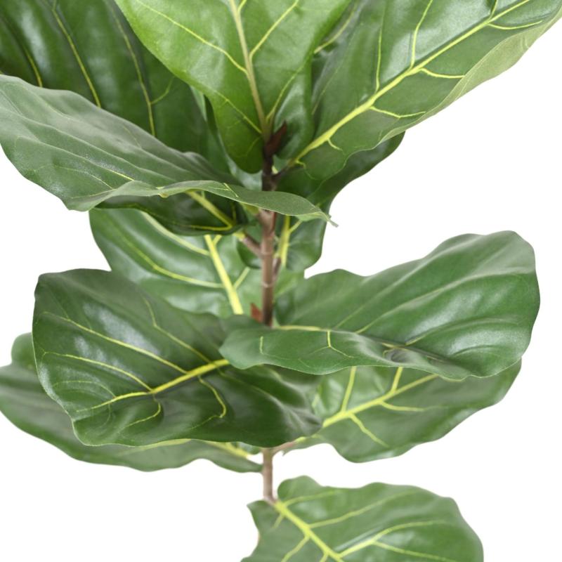 Lyrata Artificiel