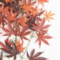 Aralia Artificiel NEW * 44